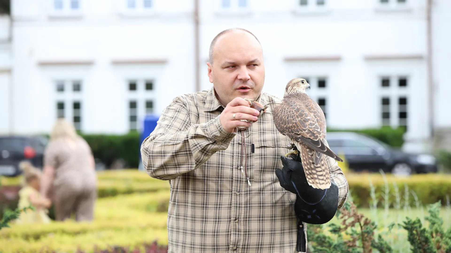 Usługi sokolnicze